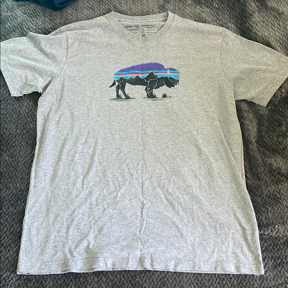 🌟3/$35 Patagonia Gray Short Sleeve Tee with Scenic Graphic